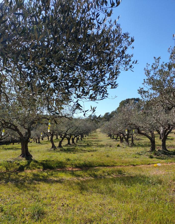 Les Hauts Du Peireguier La Motte Екстериор снимка
