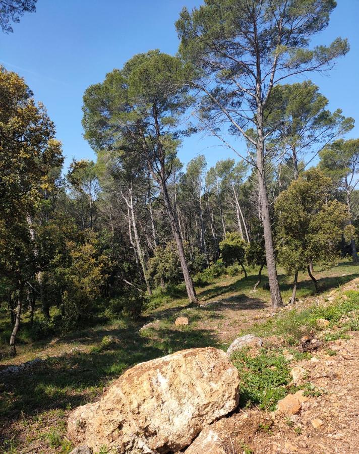Les Hauts Du Peireguier La Motte Екстериор снимка